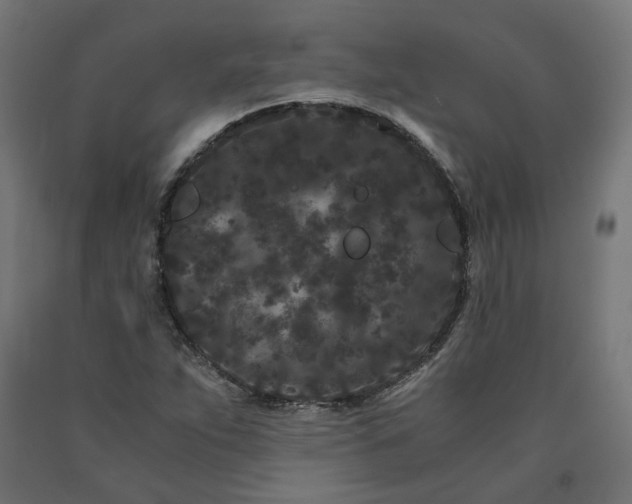 X0000090721263200708031453