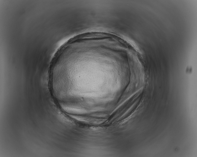 X0000090721264200708031453