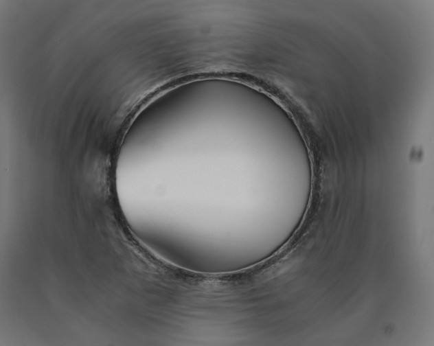 X0000090721265200708031453