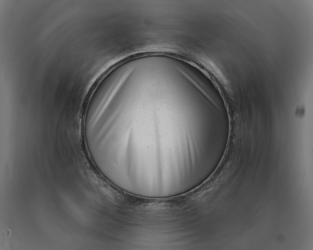 X0000090721268200708031453