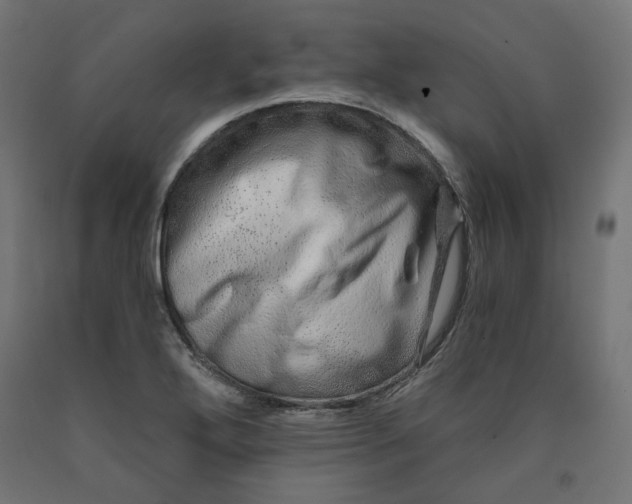 X0000090721272200708031452