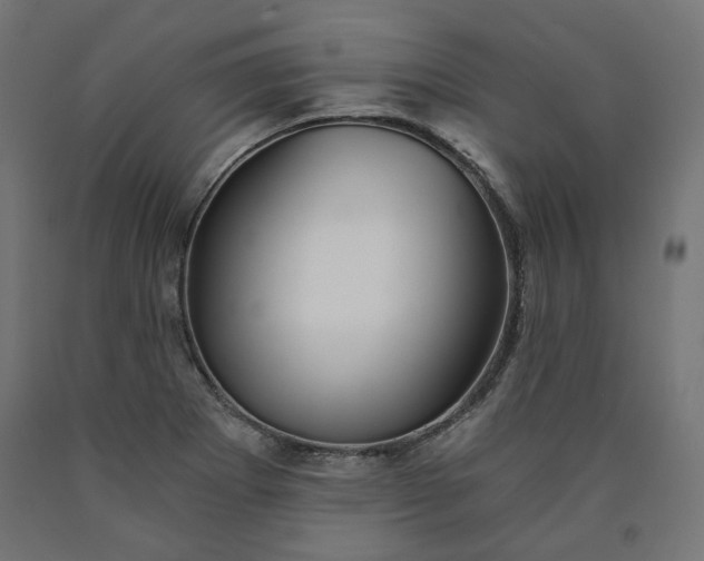X0000090721273200708031452