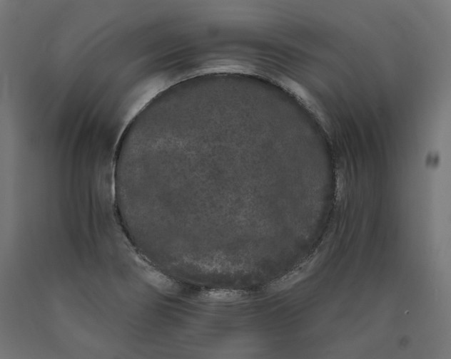 X0000090721274200708031452