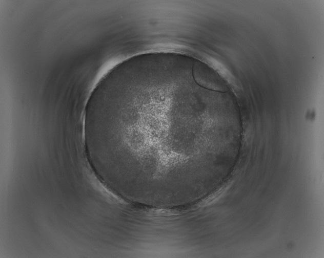 X0000090721275200708031452