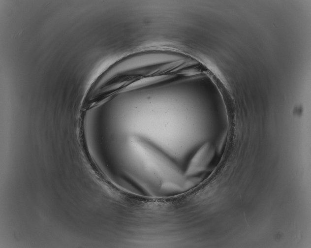 X0000090721277200708031452