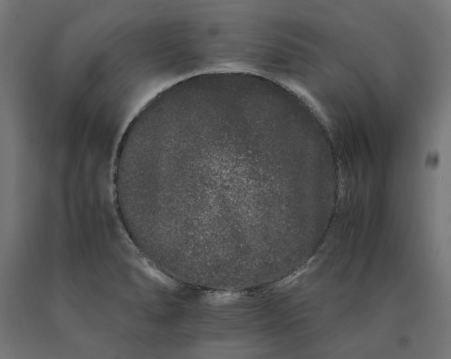 X0000090721278200708031452