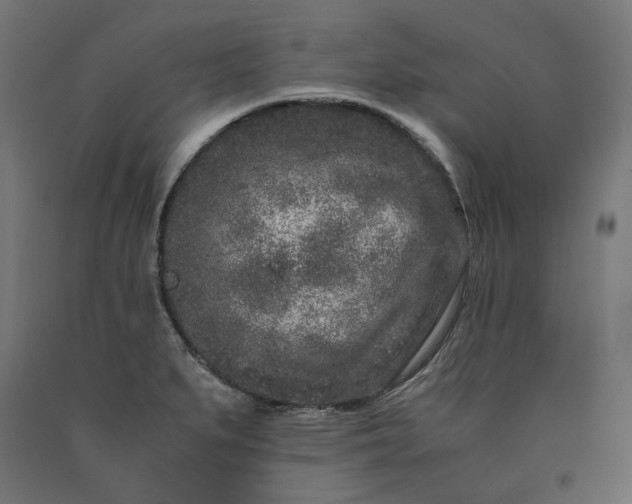 X0000090721279200708031452