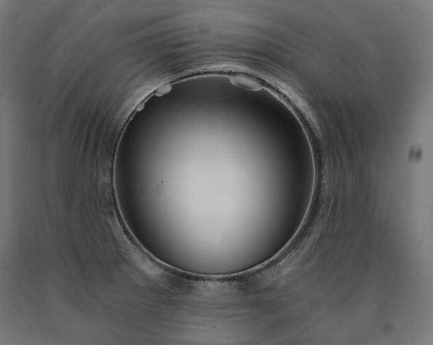 X0000090721281200708031452