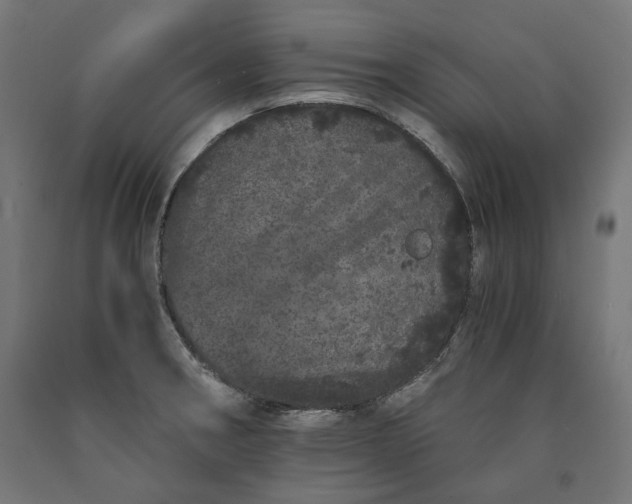 X0000090721282200708031452