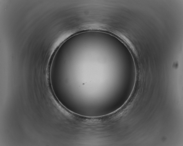 X0000090721285200708031452