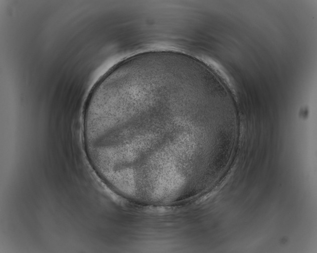 X0000090721286200708031452