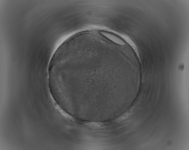 X0000090721287200708031452