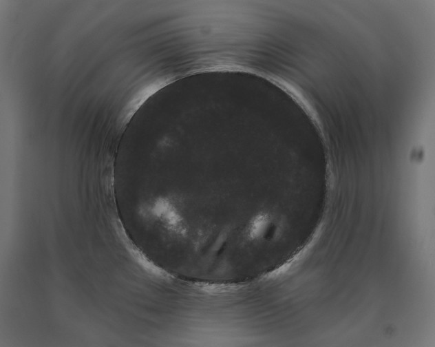 X0000090721289200708031452