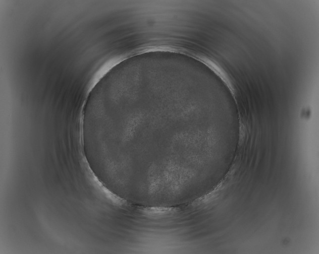 X0000090721290200708031452