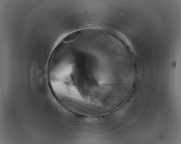 X0000090721291200708031452