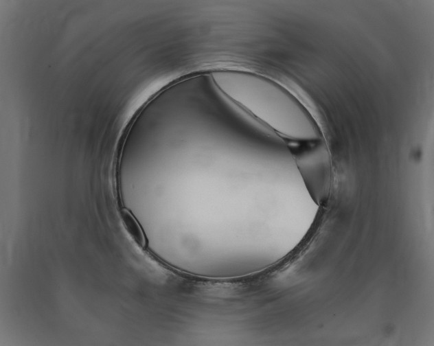 X0000090721293200708031452