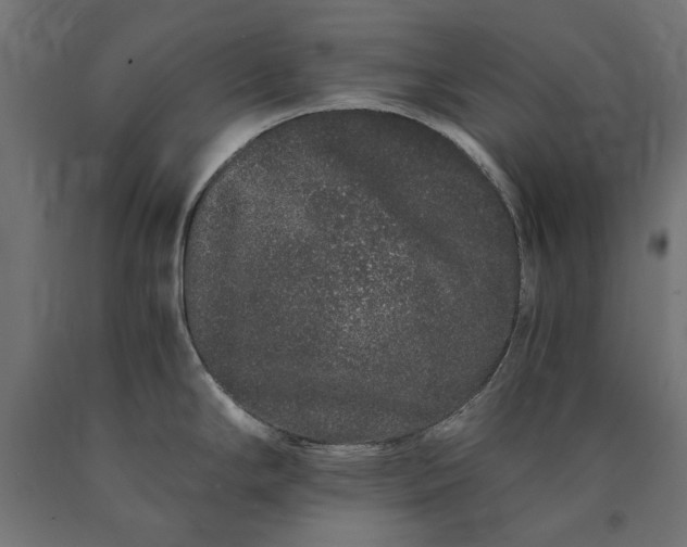 X0000090721294200708031452