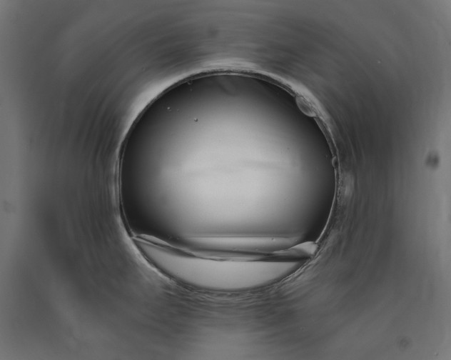 X0000090721295200708031452