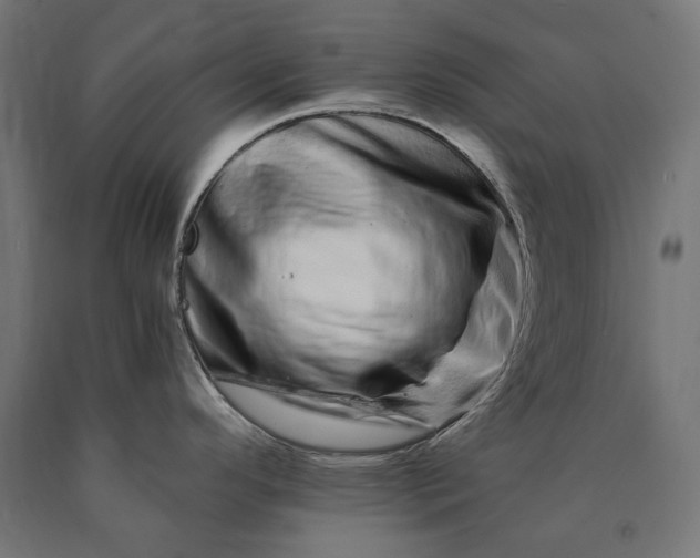 X0000090721296200708031452