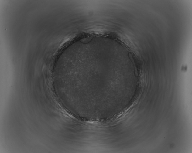 X0000090721297200708031451