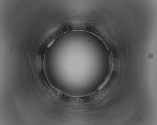 X0000090721298200708031452