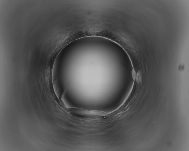 X0000090721299200708031452