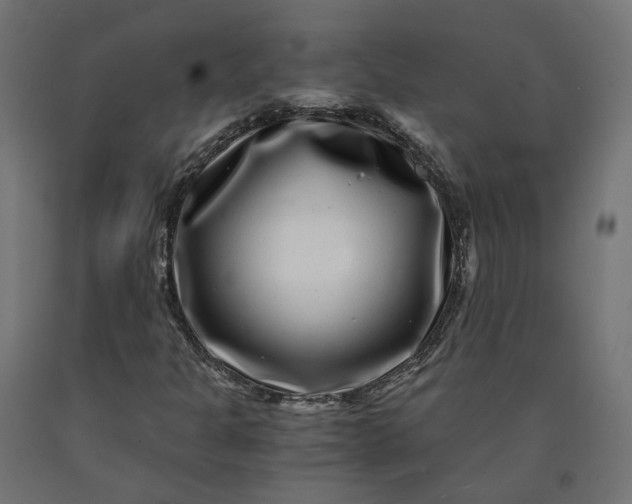 X0000090721301200708031452