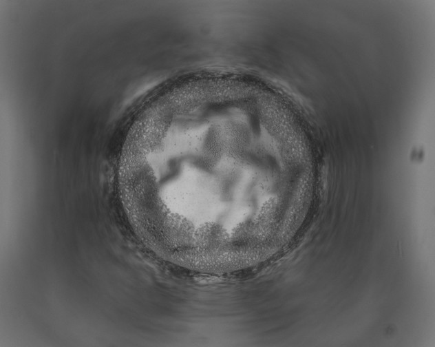 X0000090721302200708031452