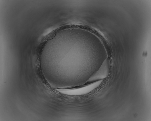 X0000090721303200708031452