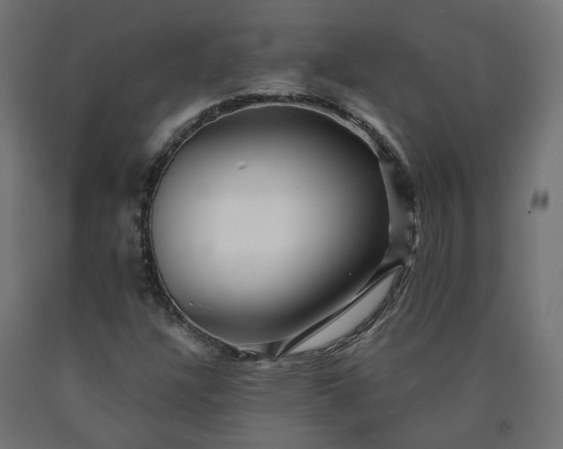 X0000090721304200708031452