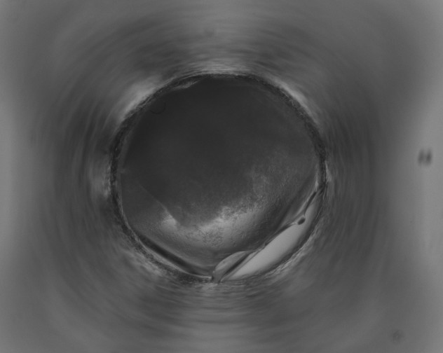 X0000090721306200708031452