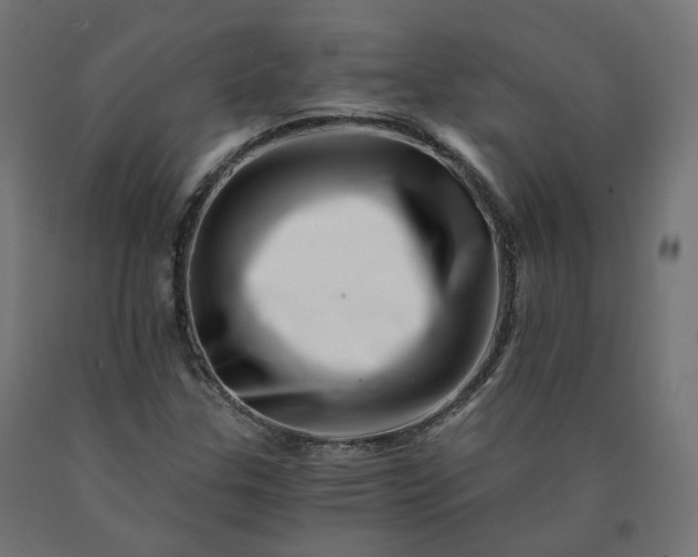 X0000090721307200708031452