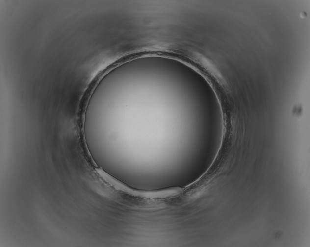 X0000090721308200708031452
