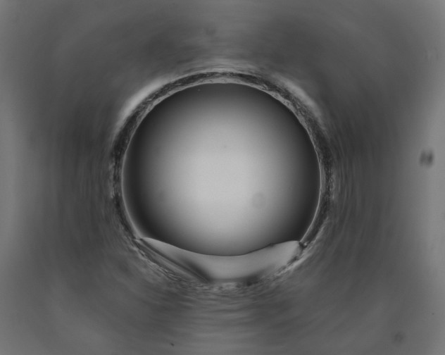 X0000090721310200708031452