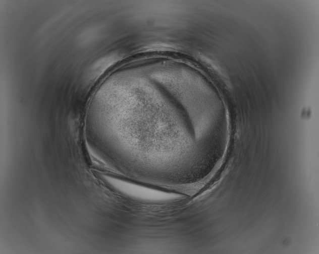X0000090721313200708031452