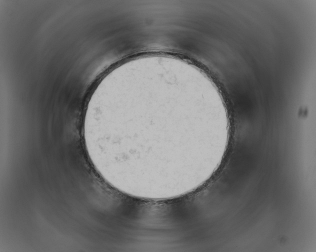 X0000090721314200708031452