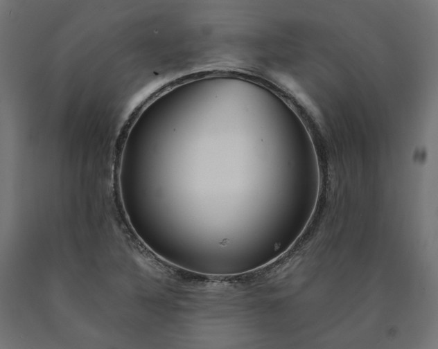 X0000090721316200708031452