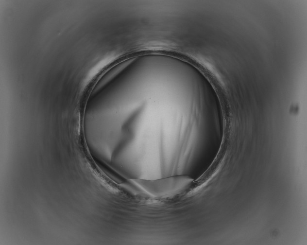 X0000090721317200708031452