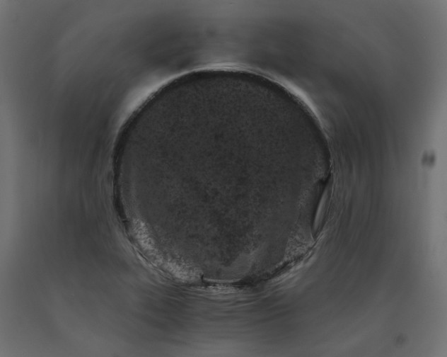 X0000090721319200708031452