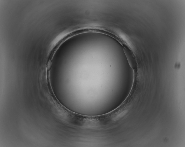 X0000090721320200708031452