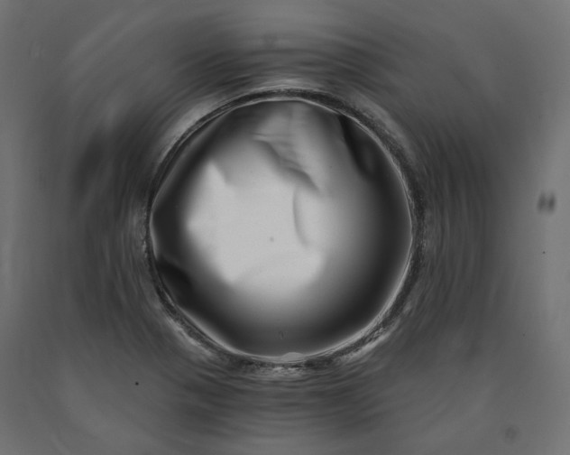 X0000090721321200708031452