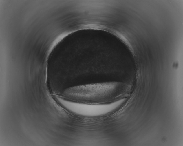 X0000090721323200708031452