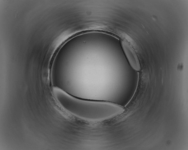 X0000090721324200708031452