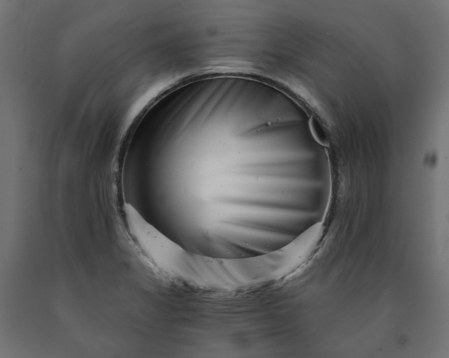 X0000090721325200708031452