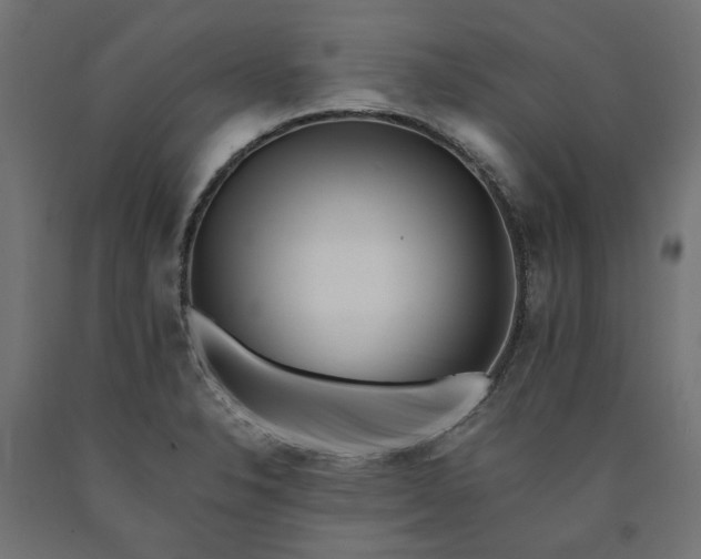 X0000090721326200708031452