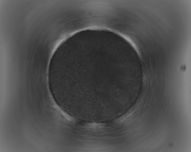 X0000090721327200708031452