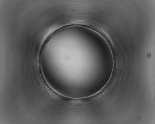 X0000090721328200708031452