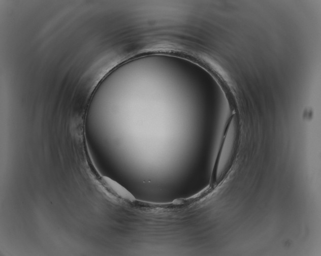 X0000090721329200708031452