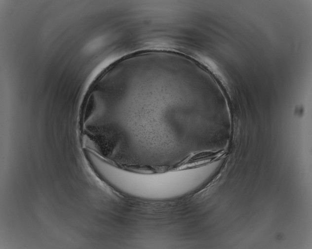 X0000090721331200708031452