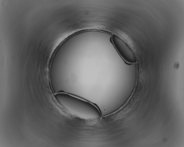 X0000090721332200708031452
